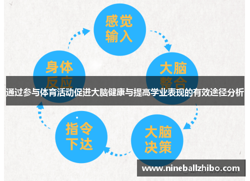 通过参与体育活动促进大脑健康与提高学业表现的有效途径分析